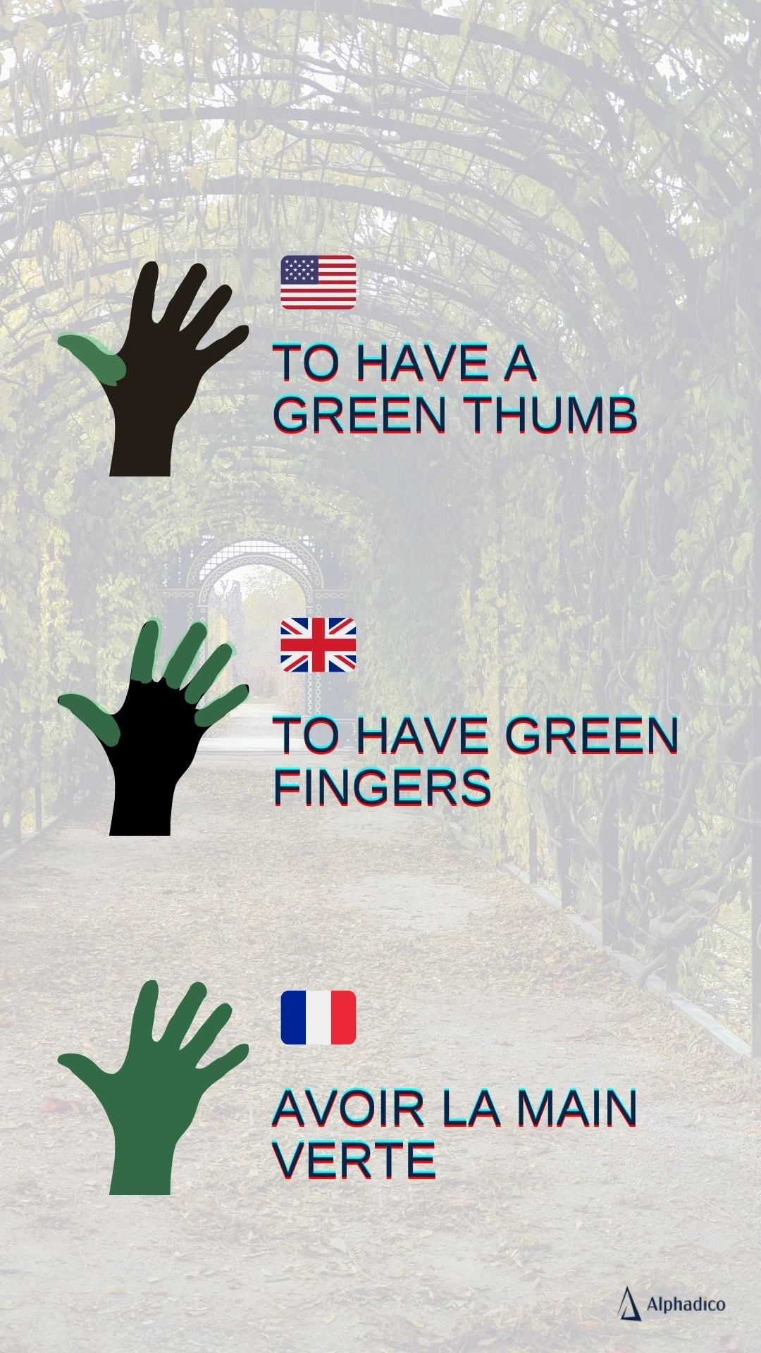 exemple-traduction-seo-vs-localisation-seo-main-verte-alphadico Comment dire avoir la main verte en anglais : US vs UK