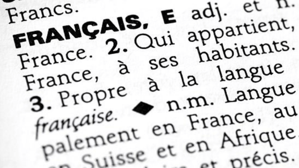 Définition de français dans le dictionnaire.