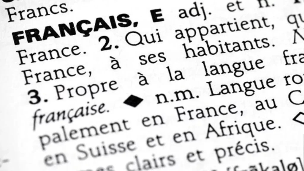 Définition de français dans le dictionnaire.